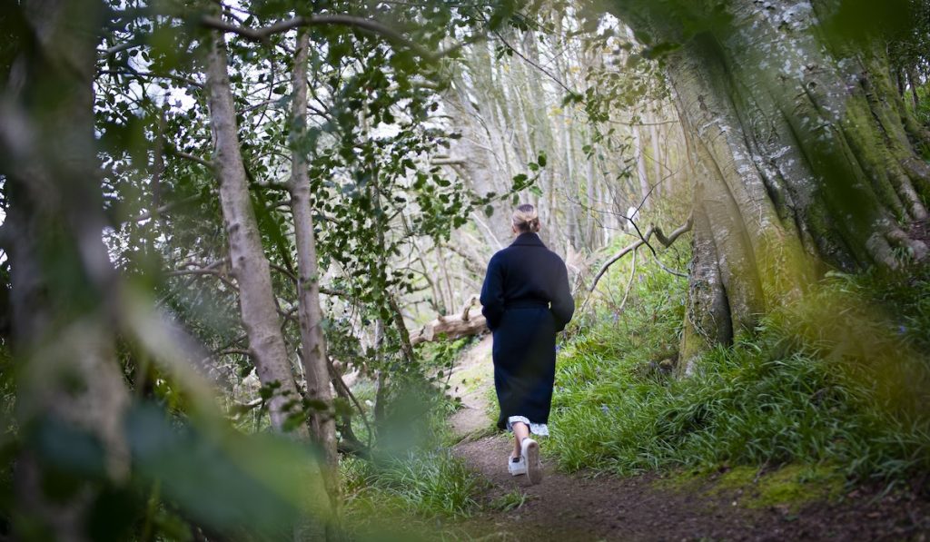 Dorset holiday cottage with countryside walks right from the doorstep.
